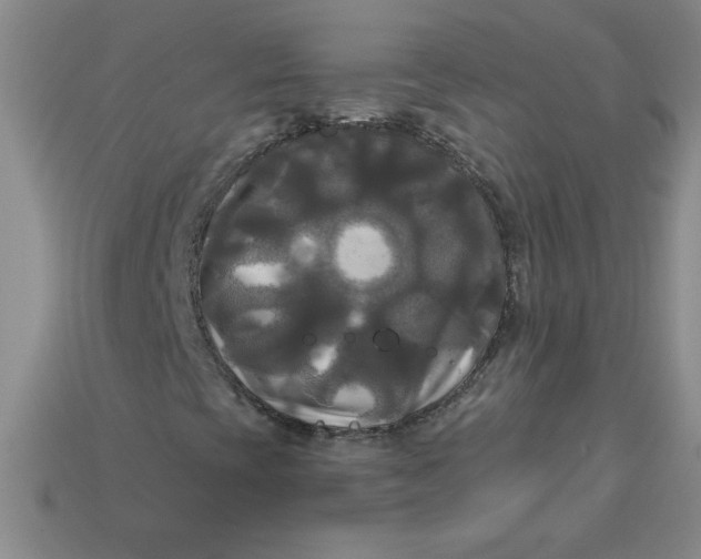 X0000113921393200910151429