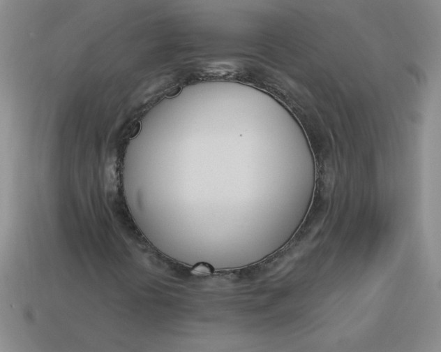 X0000113921394200910151429