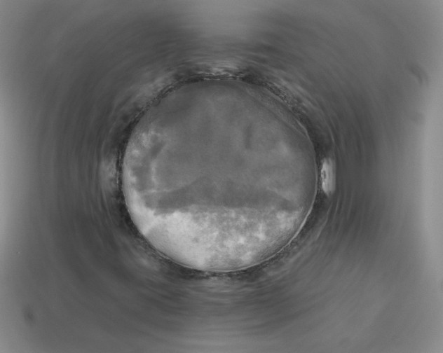 X0000113921395200910151429