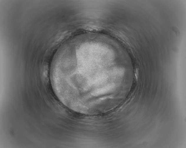 X0000113921396200910151429
