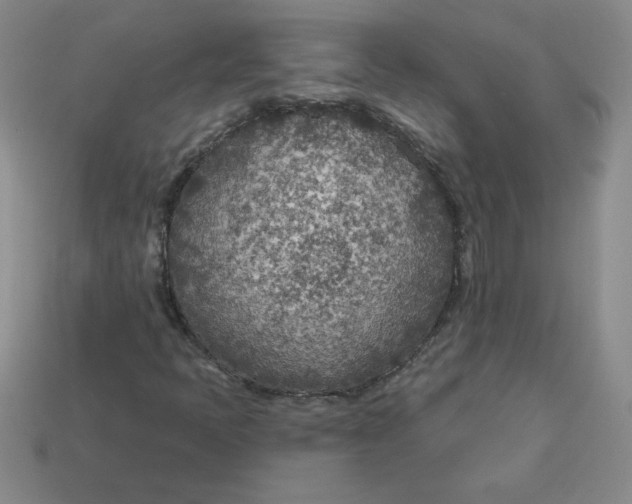 X0000113921397200910151429
