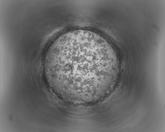 X0000113921398200910151429