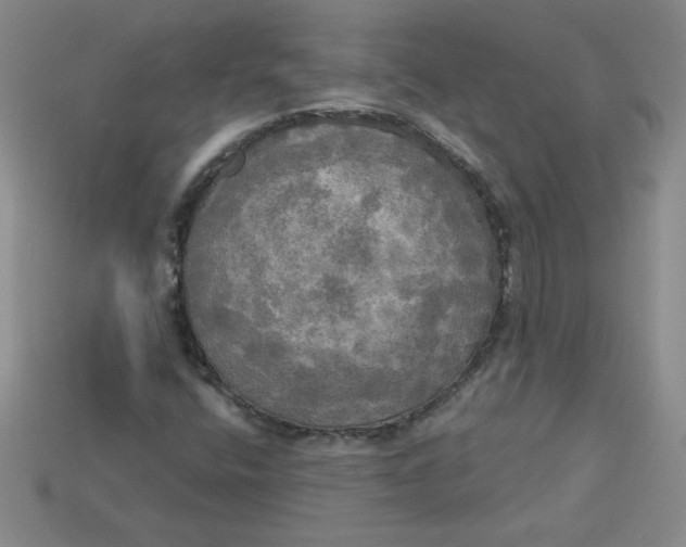 X0000113921400200910151429