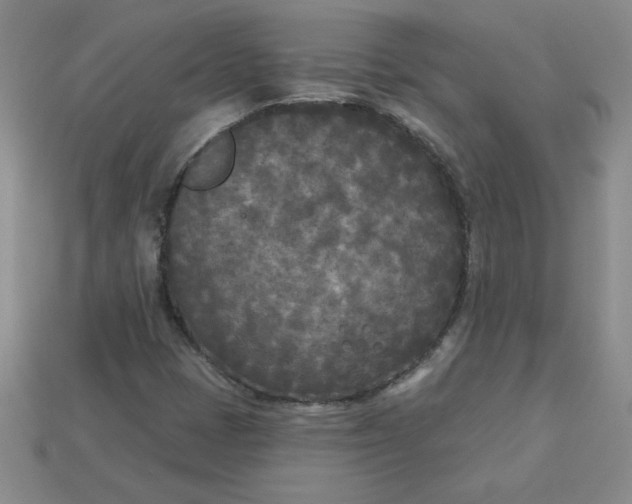 X0000113921401200910151429