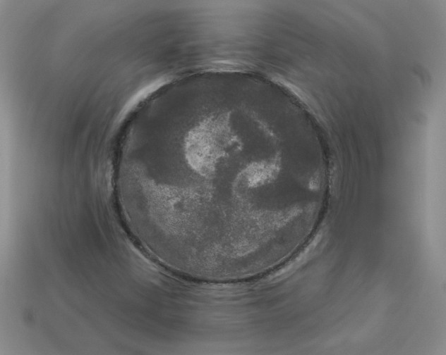 X0000113921402200910151429