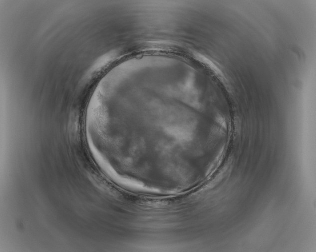 X0000113921403200910151429