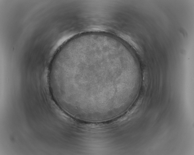X0000113921404200910151429