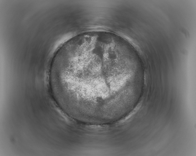 X0000113921405200910151429