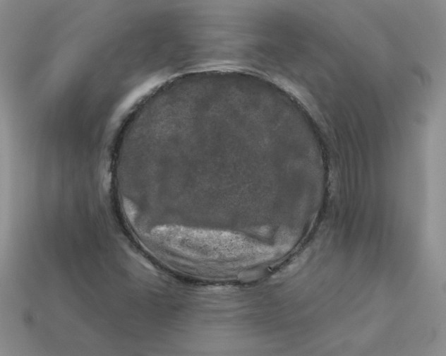 X0000113921406200910151429