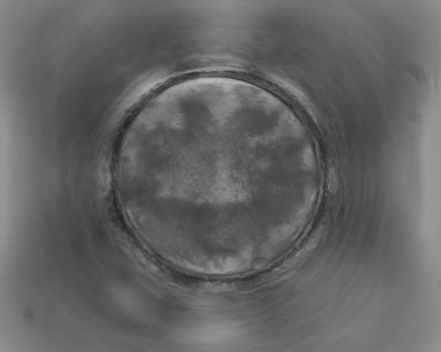 X0000113921407200910151429