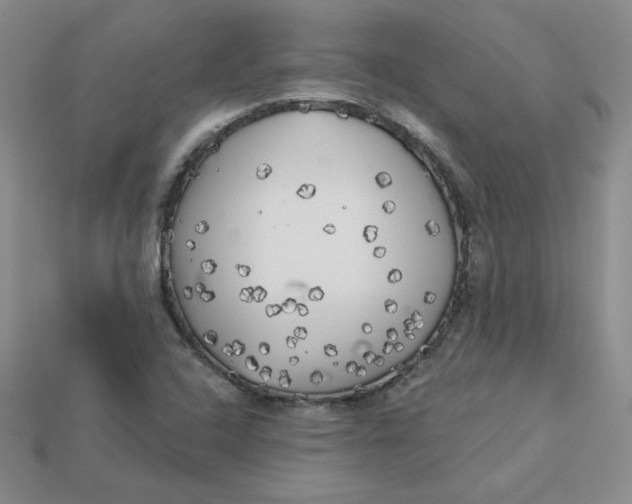 X0000113921408200910151429