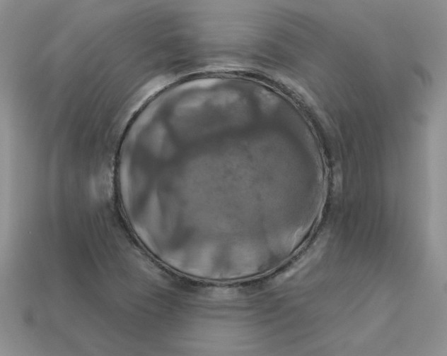 X0000113921409200910151429