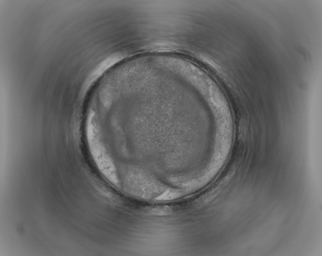 X0000113921410200910151429