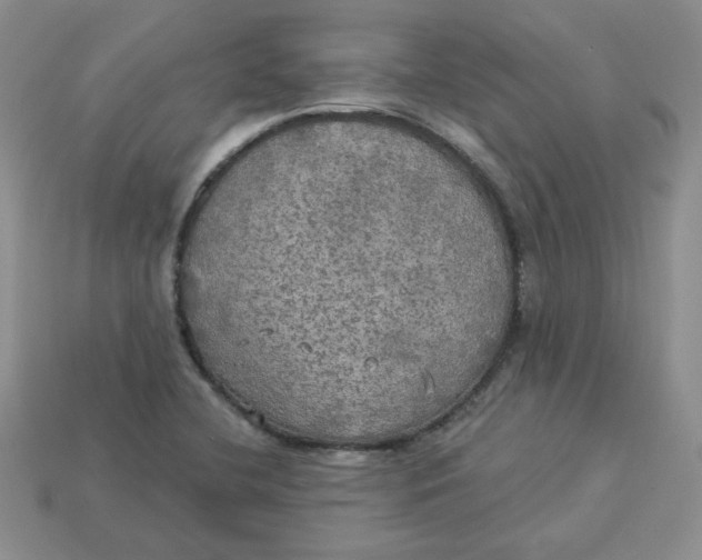X0000113921412200910151429