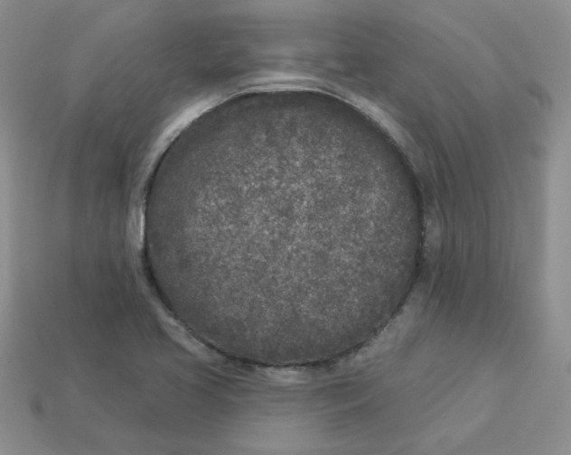 X0000113921413200910151429