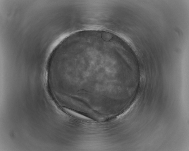 X0000113921414200910151429