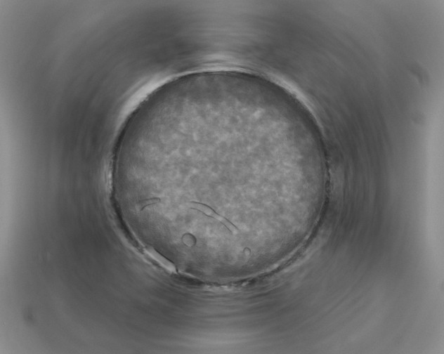 X0000113921415200910151429
