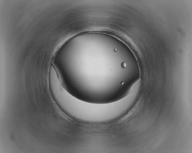 X0000113921417200910151429