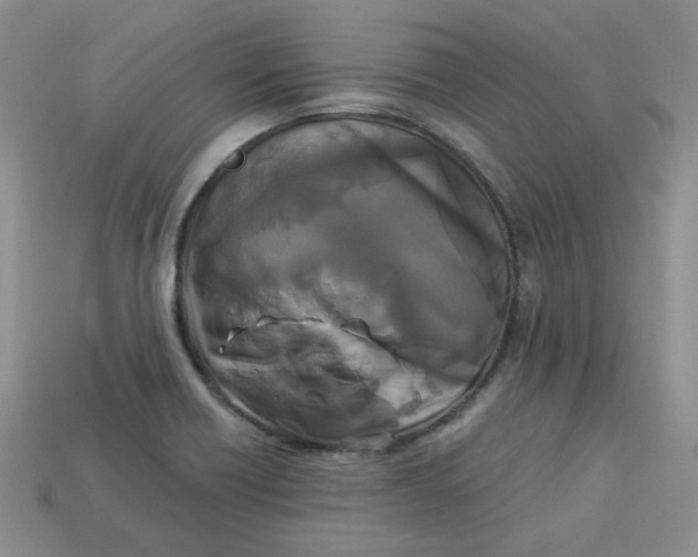X0000113921418200910151429