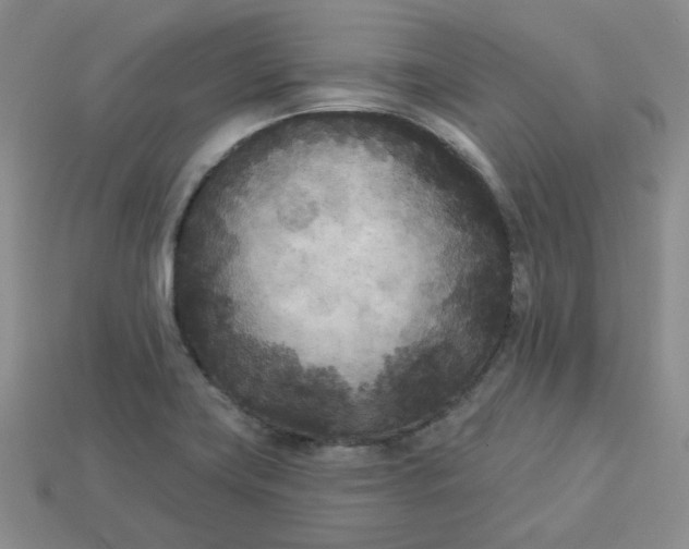 X0000113921419200910151429