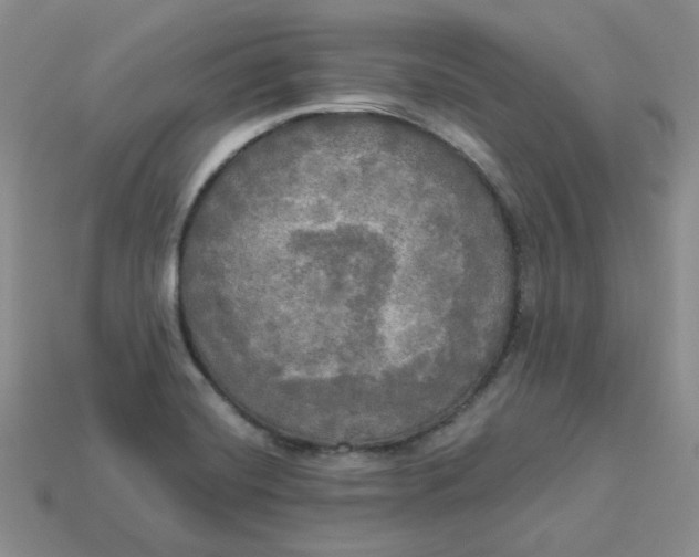 X0000113921420200910151430