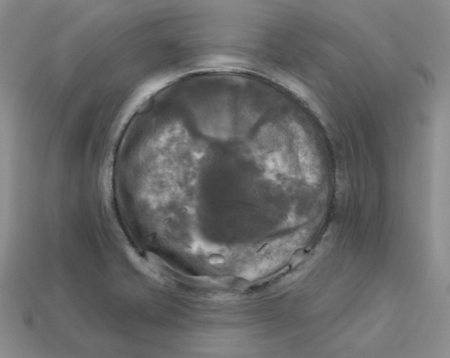 X0000113921421200910151430