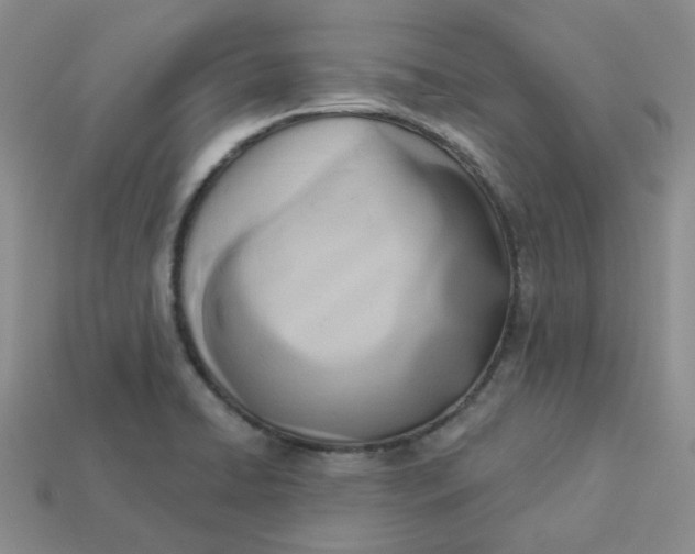 X0000113921422200910151430