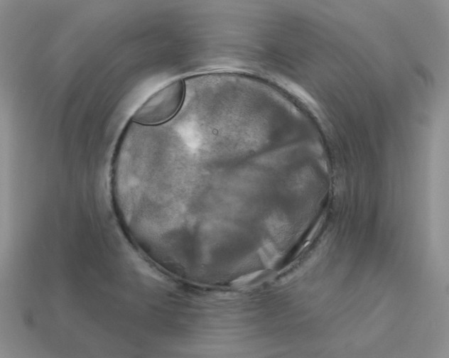X0000113921423200910151430