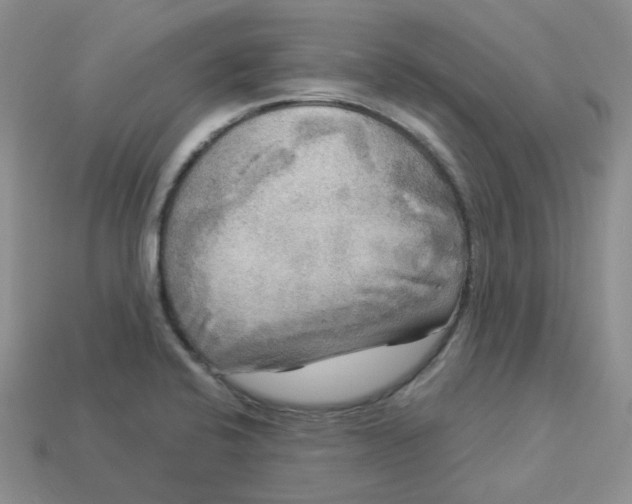 X0000113921424200910151430