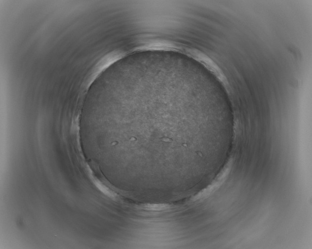 X0000113921425200910151430