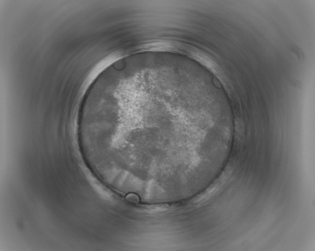 X0000113921426200910151430