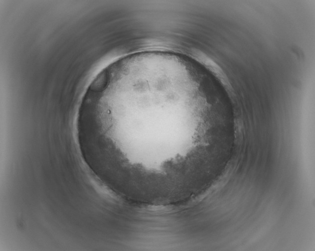 X0000113921427200910151430