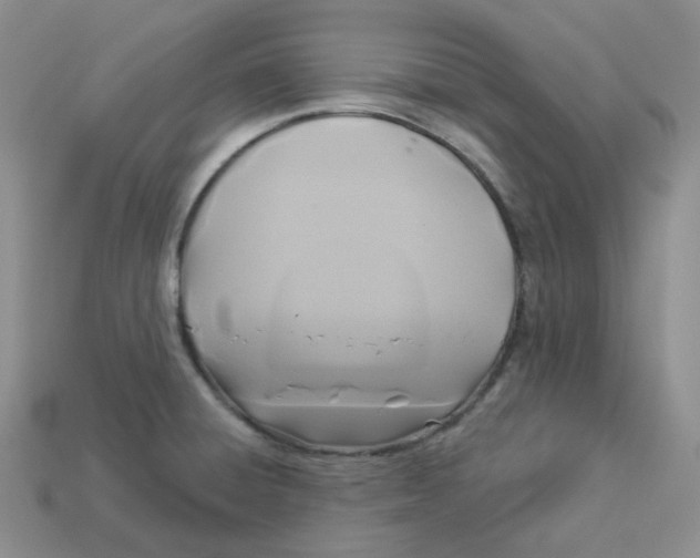 X0000113921428200910151430