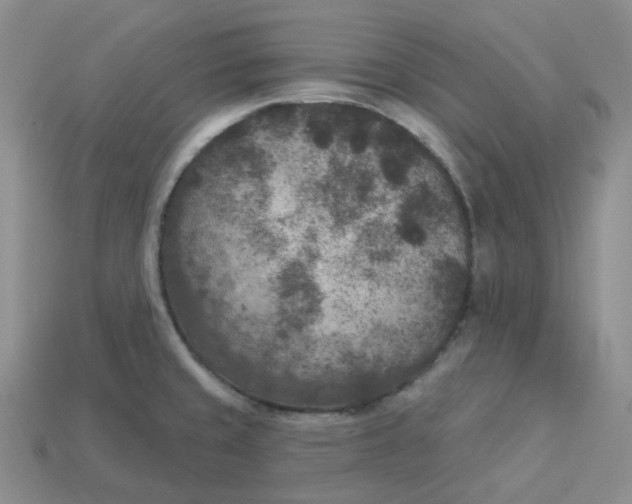 X0000113921429200910151430