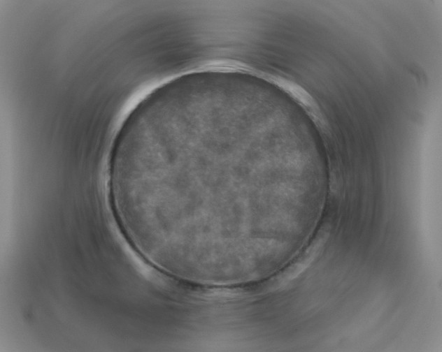 X0000113921430200910151430