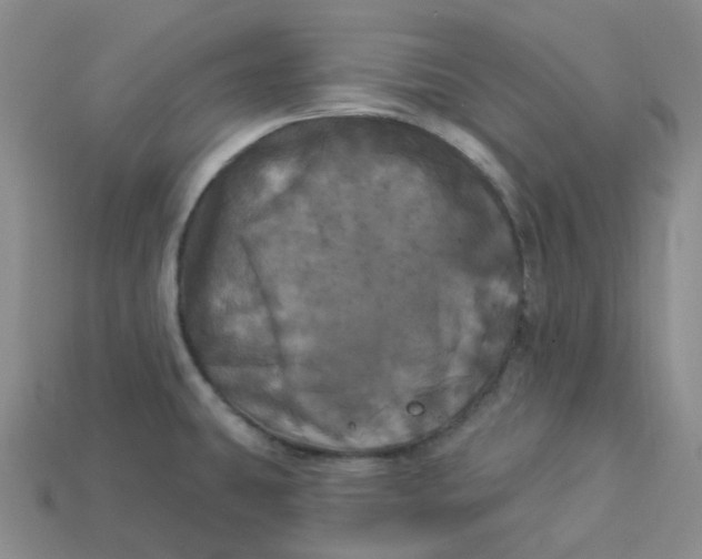 X0000113921431200910151430