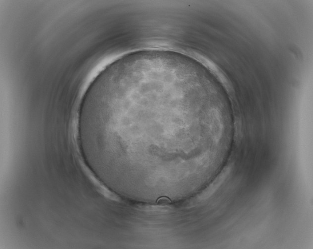 X0000113921432200910151430