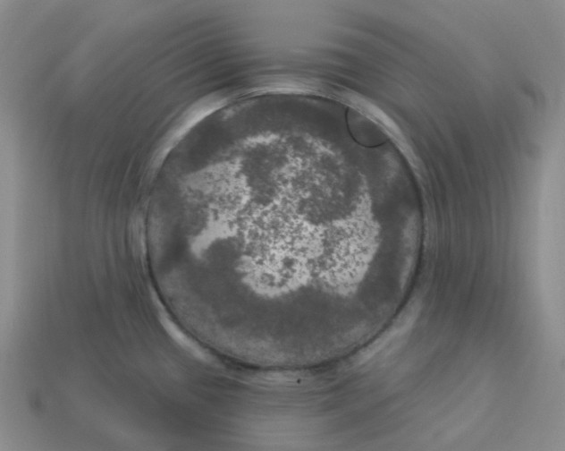 X0000113921433200910151430