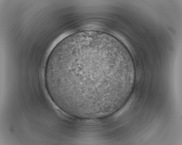 X0000113921434200910151430