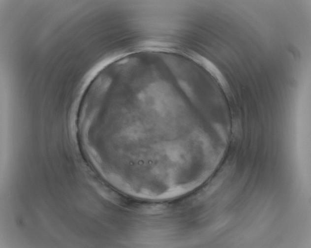 X0000113921435200910151430
