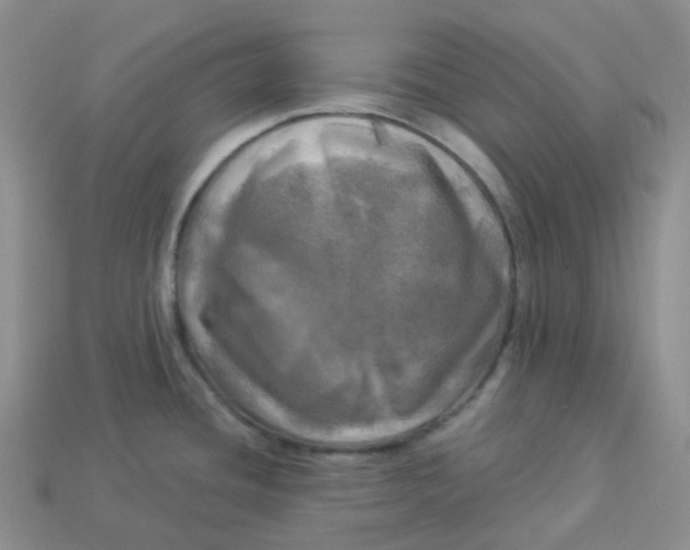 X0000113921436200910151430