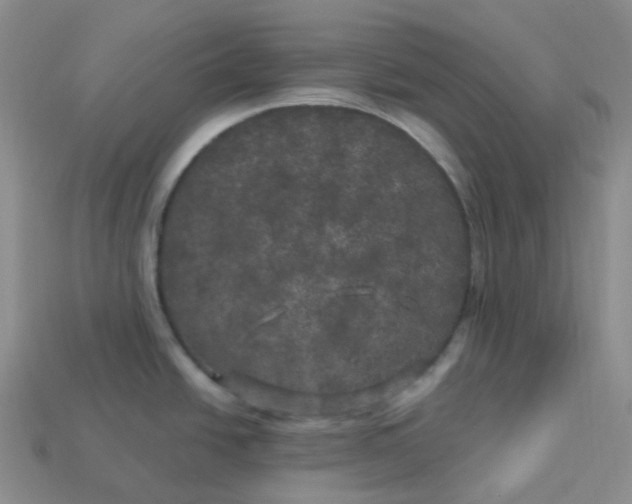 X0000113921438200910151430