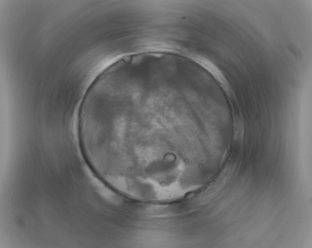 X0000113921439200910151430