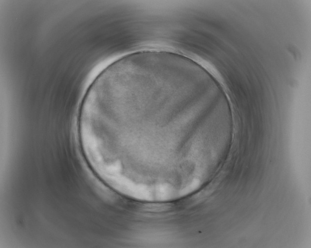 X0000113921440200910151430