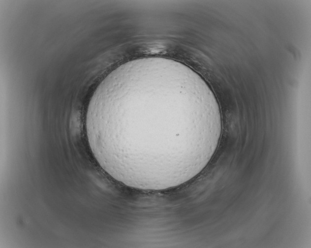 X0000113921442200910151429
