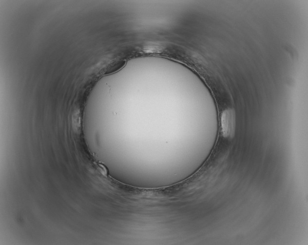 X0000113921443200910151429