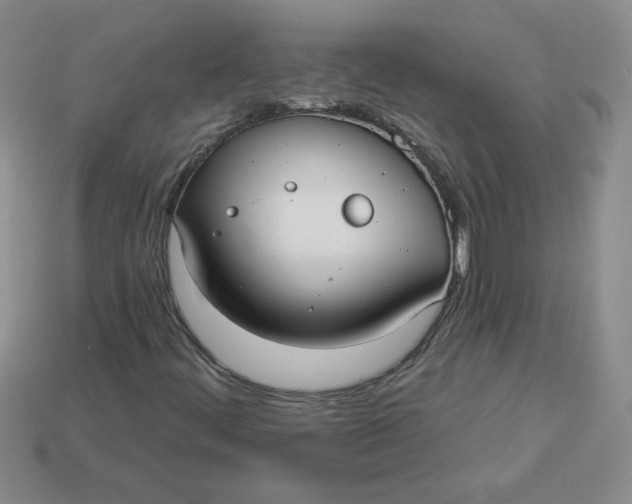 X0000113921444200910151429