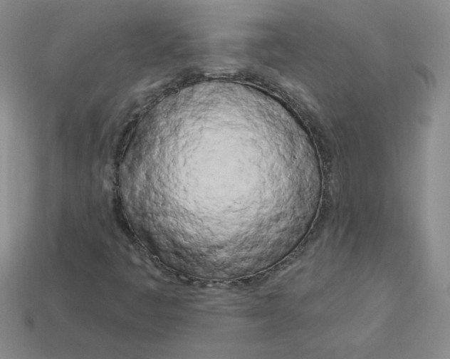 X0000113921445200910151429