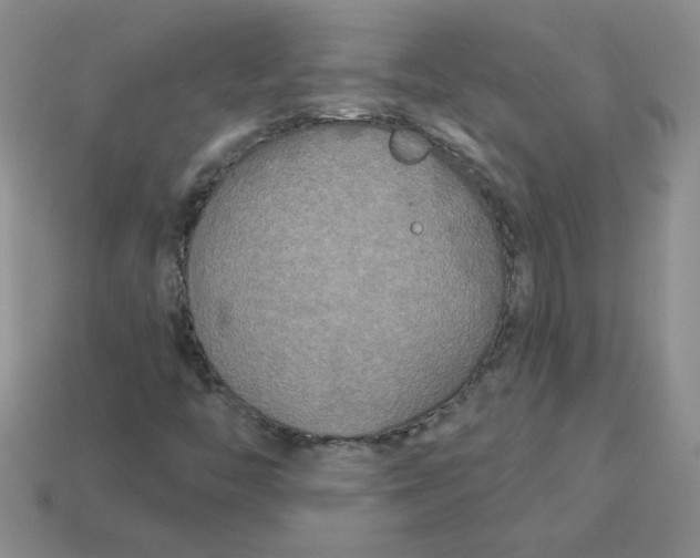 X0000113921446200910151429