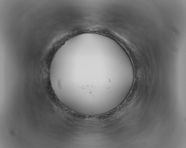 X0000113921447200910151429